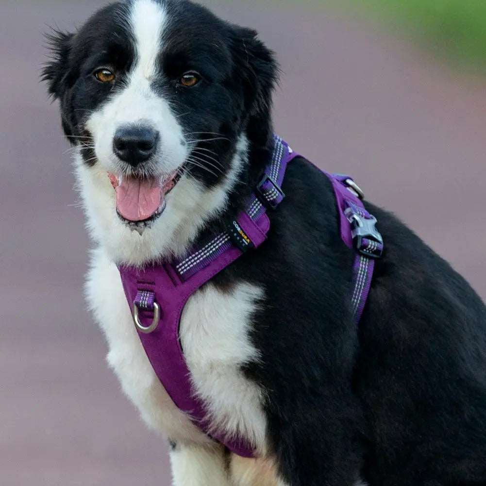 Truelove Ultra-Lightweight Reflective Dog Harness