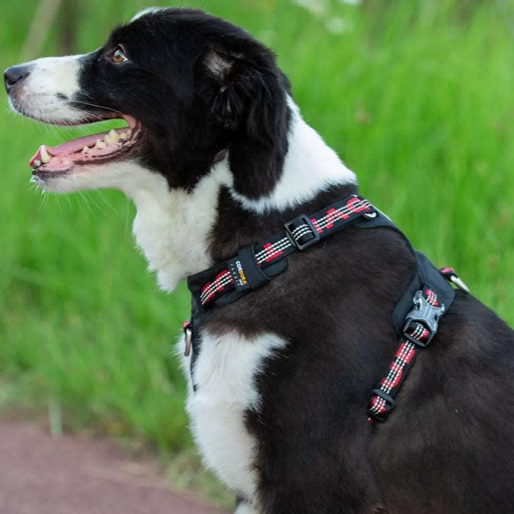 Truelove Ultra-Lightweight Reflective Dog Harness