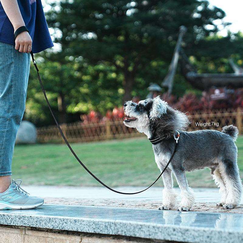 Reflective Slip Leash for Dogs – Ultra-Lightweight, Durable Nylon with 3M Reflective Strip & Aluminum Carabiner