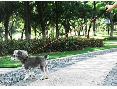 Reflective Slip Leash for Dogs – Ultra-Lightweight, Durable Nylon with 3M Reflective Strip & Aluminum Carabiner