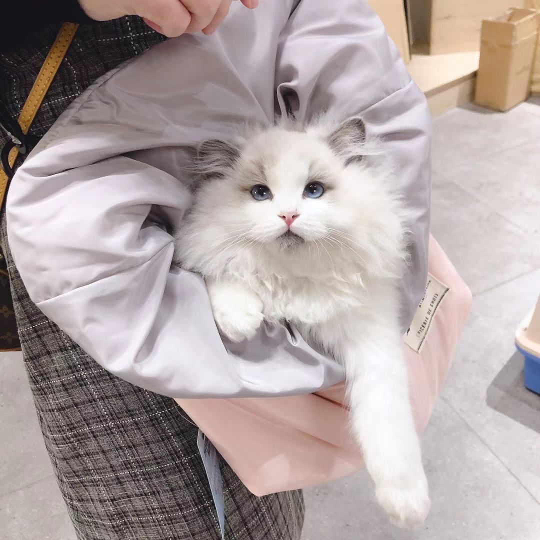Cat carrier bag super soft pet travel bag