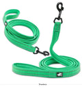 Reflective Mesh Padded Rope Dog Leash – Durable, Comfortable, and Stylish