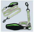 Reflective Nylon Dog Walking Leash | Durable and Comfortable