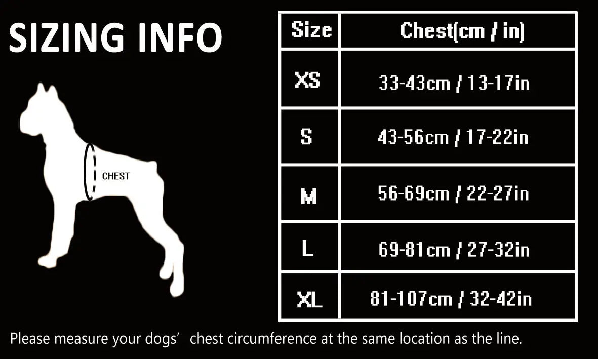 Padded Dog Harness | Comfortable, Reflective, and Secure