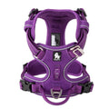 No Pull Dog Harness | Comfortable, Durable, and Secure