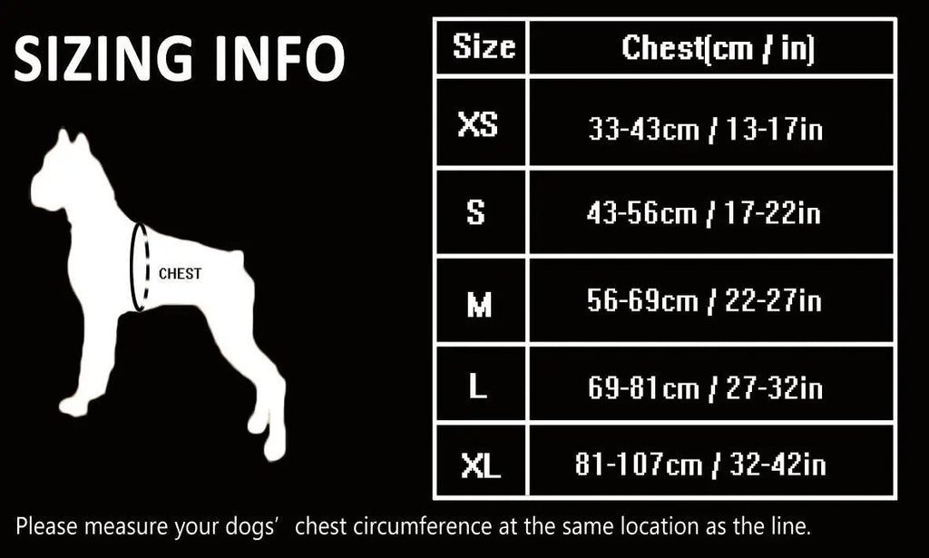No Pull Dog Harness | Comfortable, Durable, and Secure