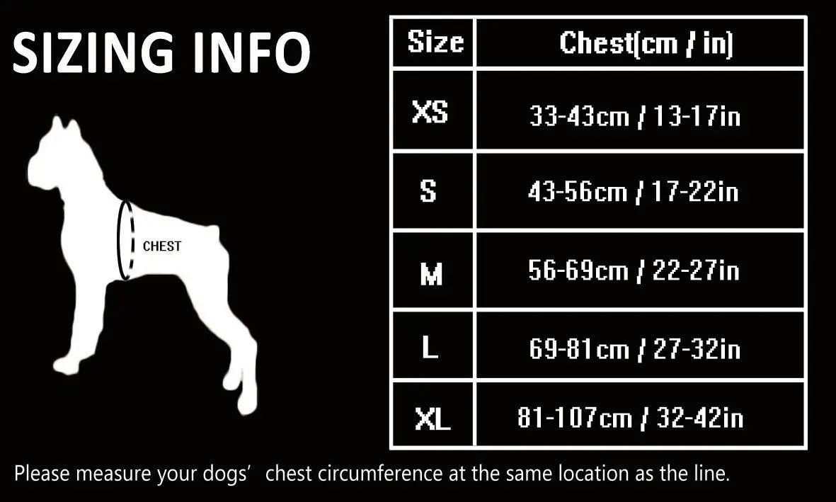 No Pull Dog Harness | Comfortable, Durable, and Secure