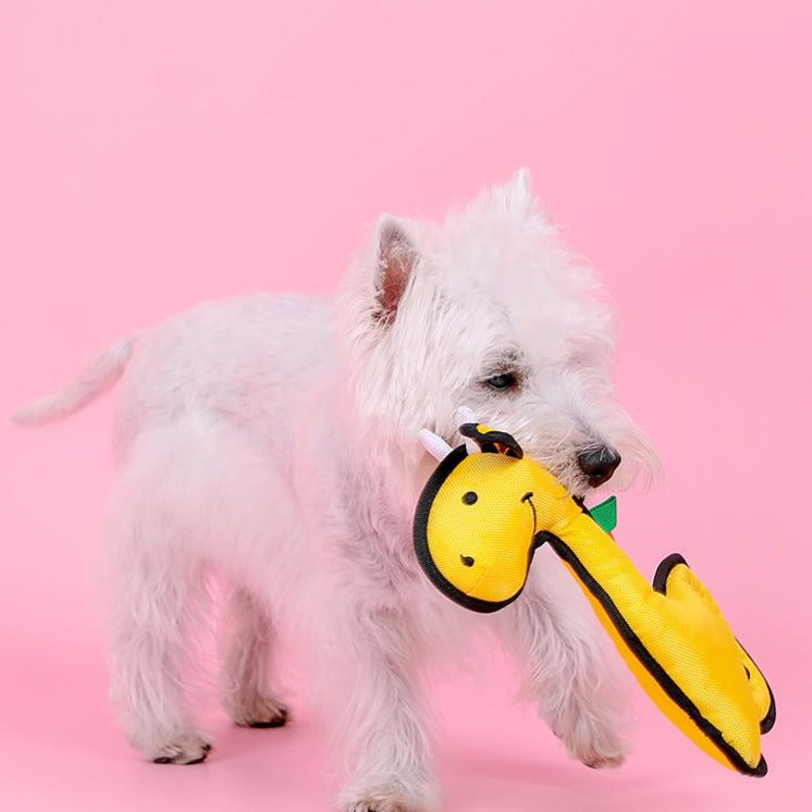 Dog vocal toy pet boredom artifact