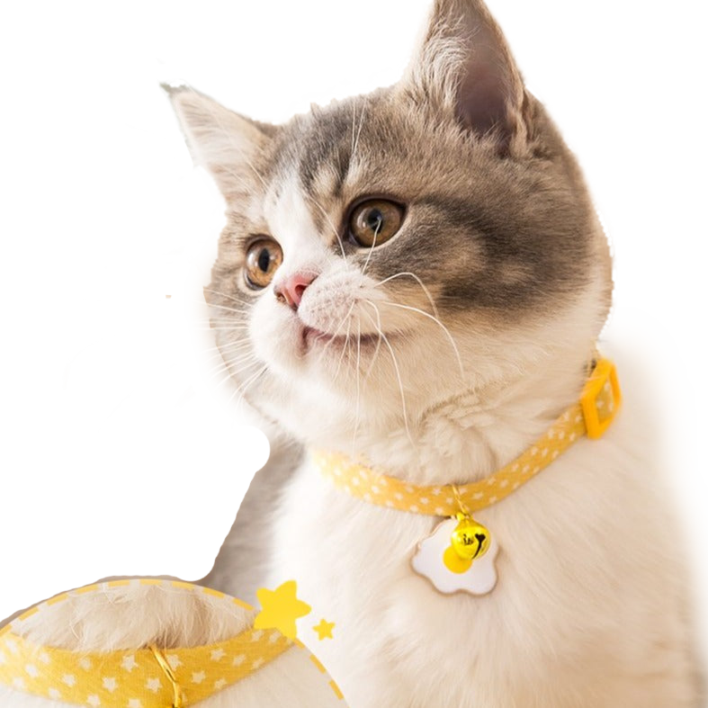 Pet Collar Daisy Cat Neck Jewelry Bell