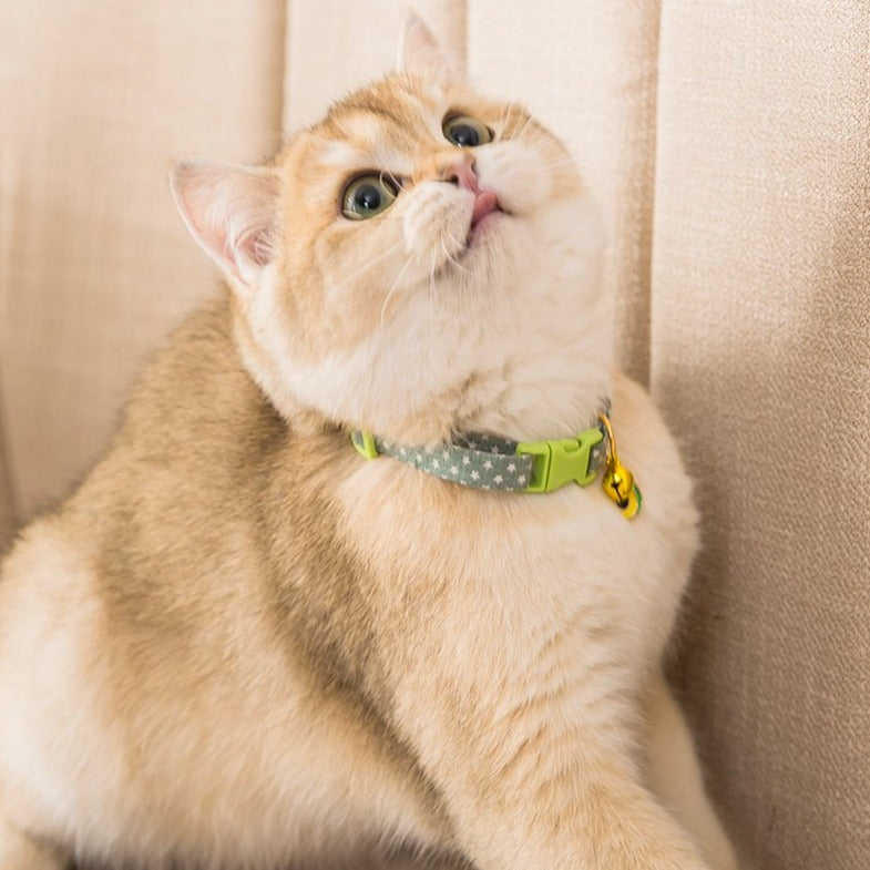 Pet Collar Daisy Cat Neck Jewelry Bell