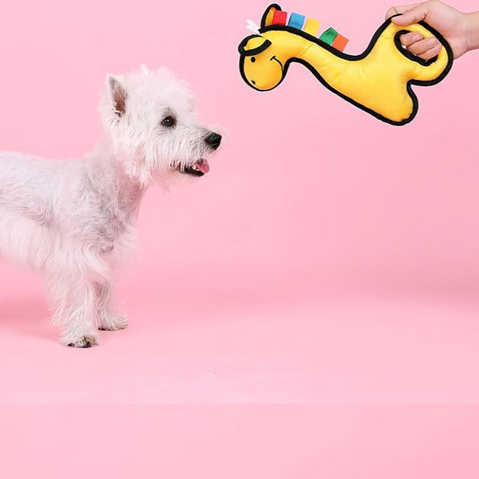 Dog vocal toy pet boredom artifact
