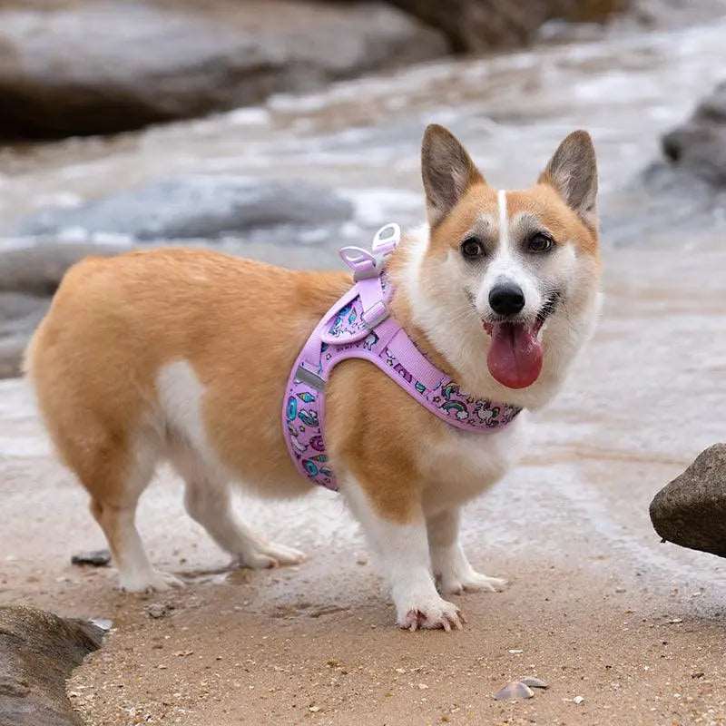 Lightweight Printed Designer Dog Harness