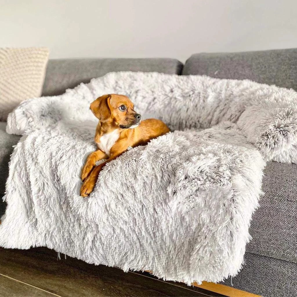 Fami Petcare PupCouch
