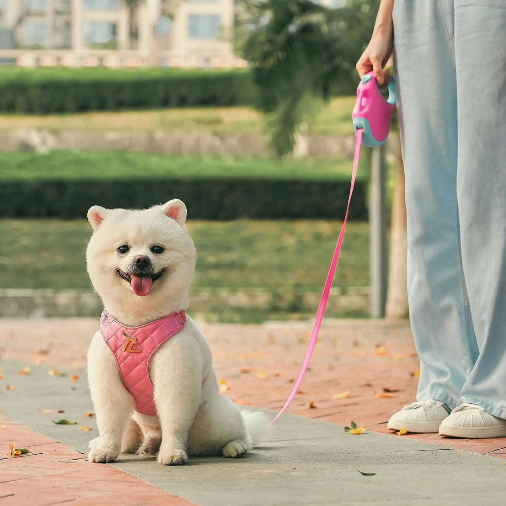 Retractable Dog Leash | Hands-Free Convenience & Tangle-Free Design
