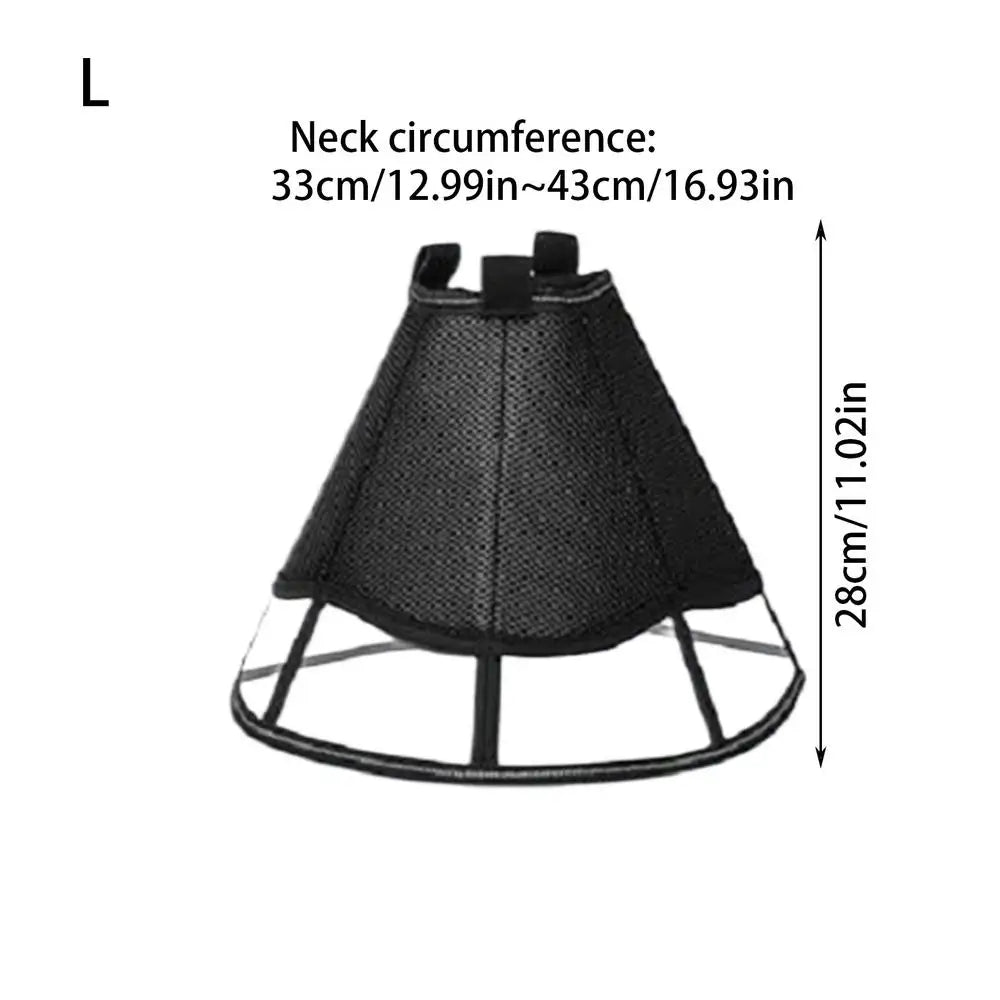 Dog Recovery Cone