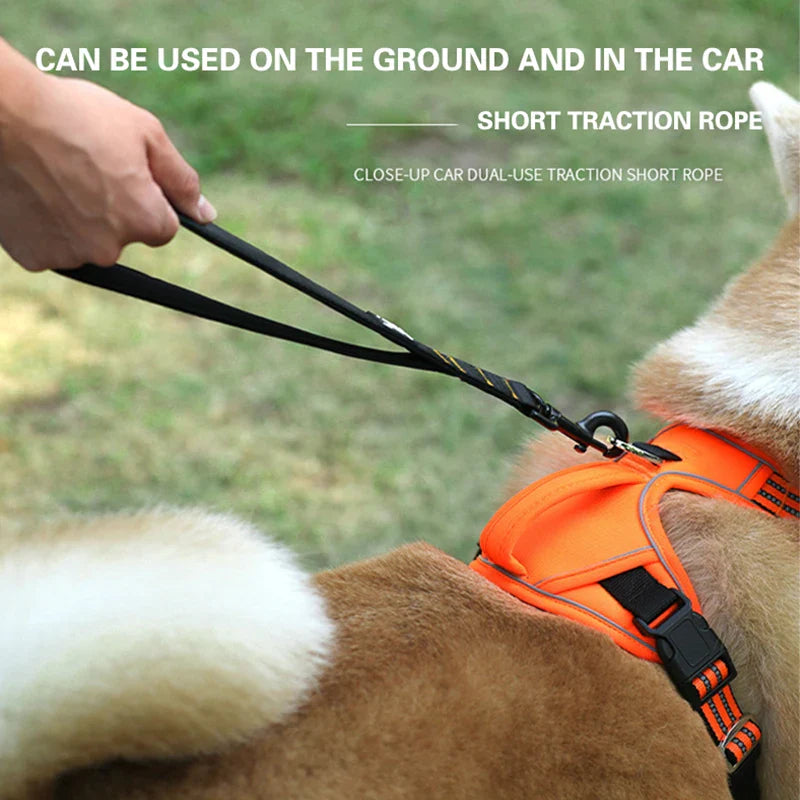 Short Dog Leash
