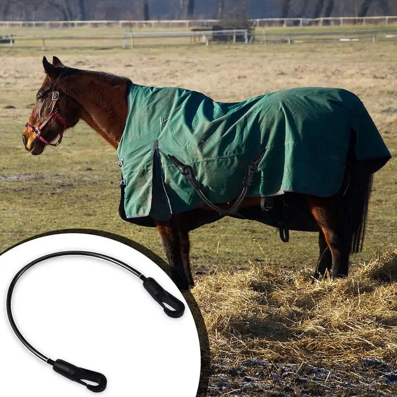 Horse Blanket Sheet