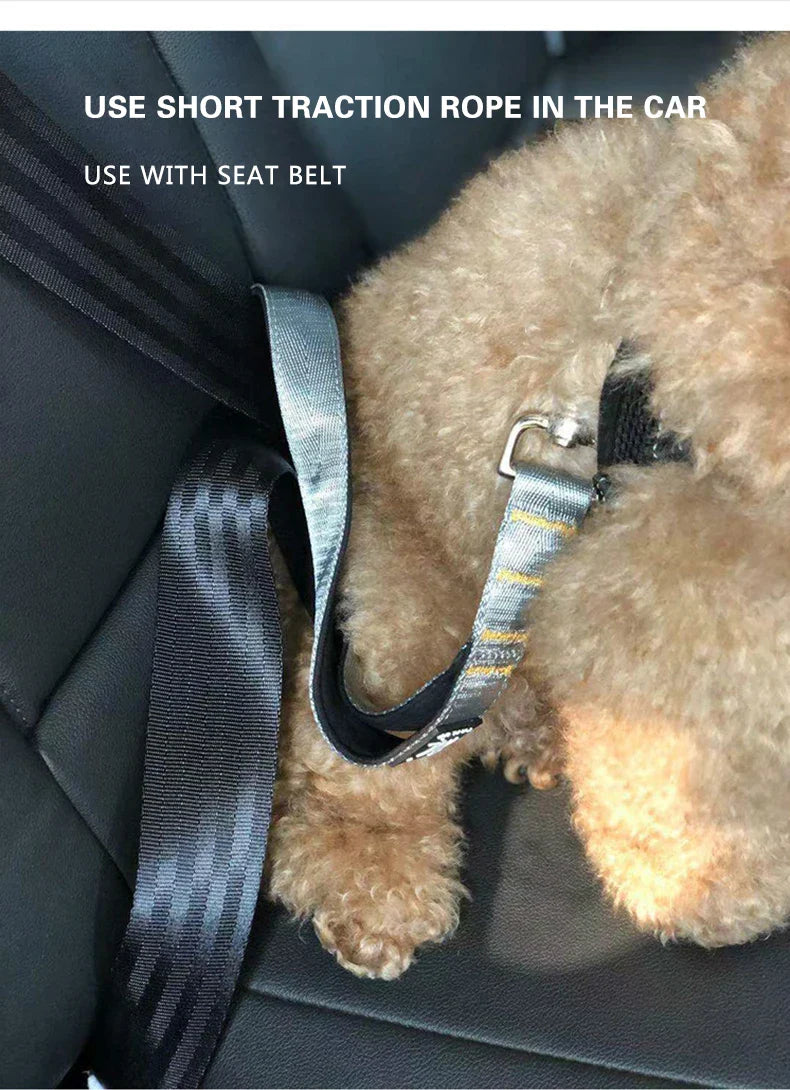 Short Dog Leash