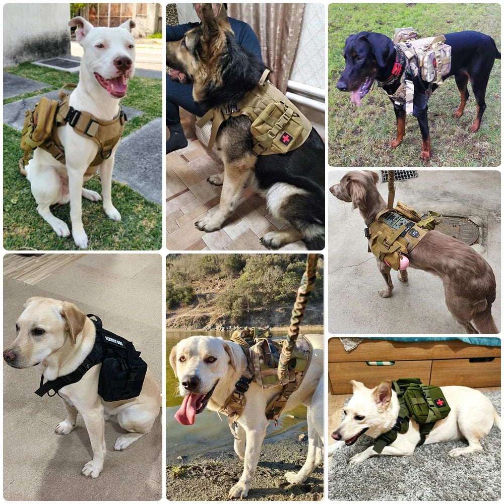 Tactical Dog Harness Collar Leash