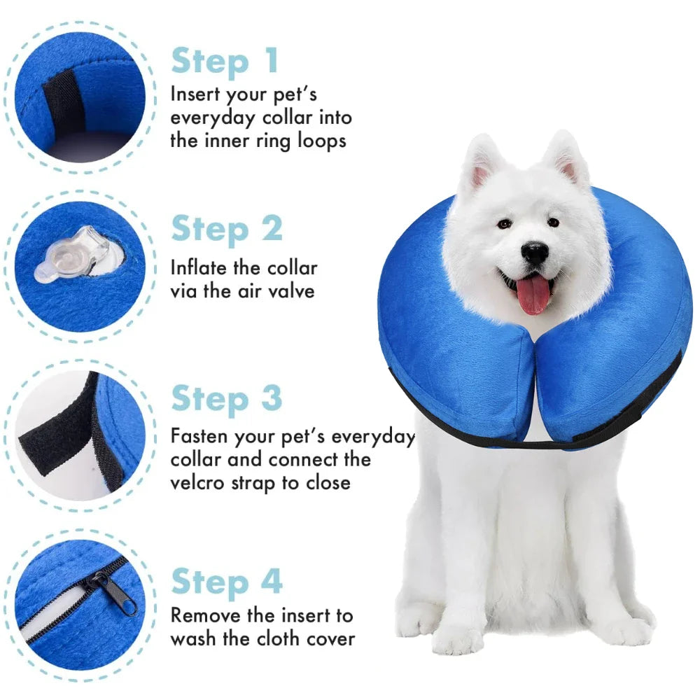 Dog Collar After Surgery