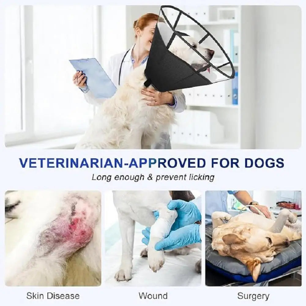 Dog Recovery Cone