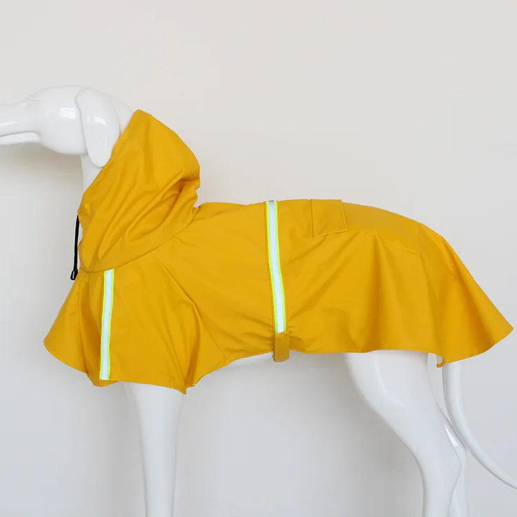 Big Dog raincoat
