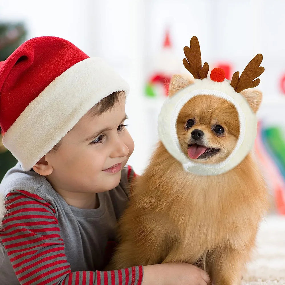 PetCare Christmas Hat for Pets