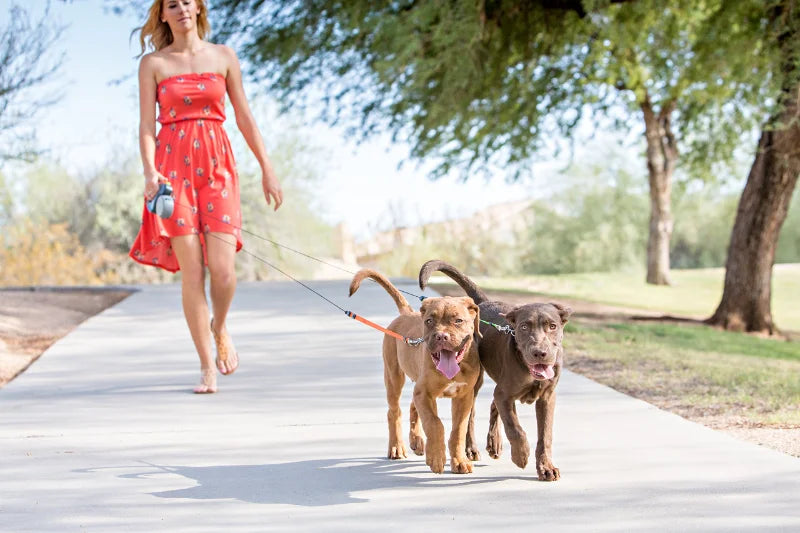 Auto Retractable Double-Ended Dog Leash