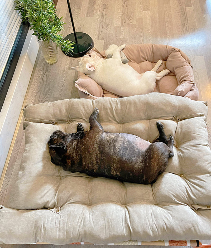 Fami Petcare Adjustable Nest Bed