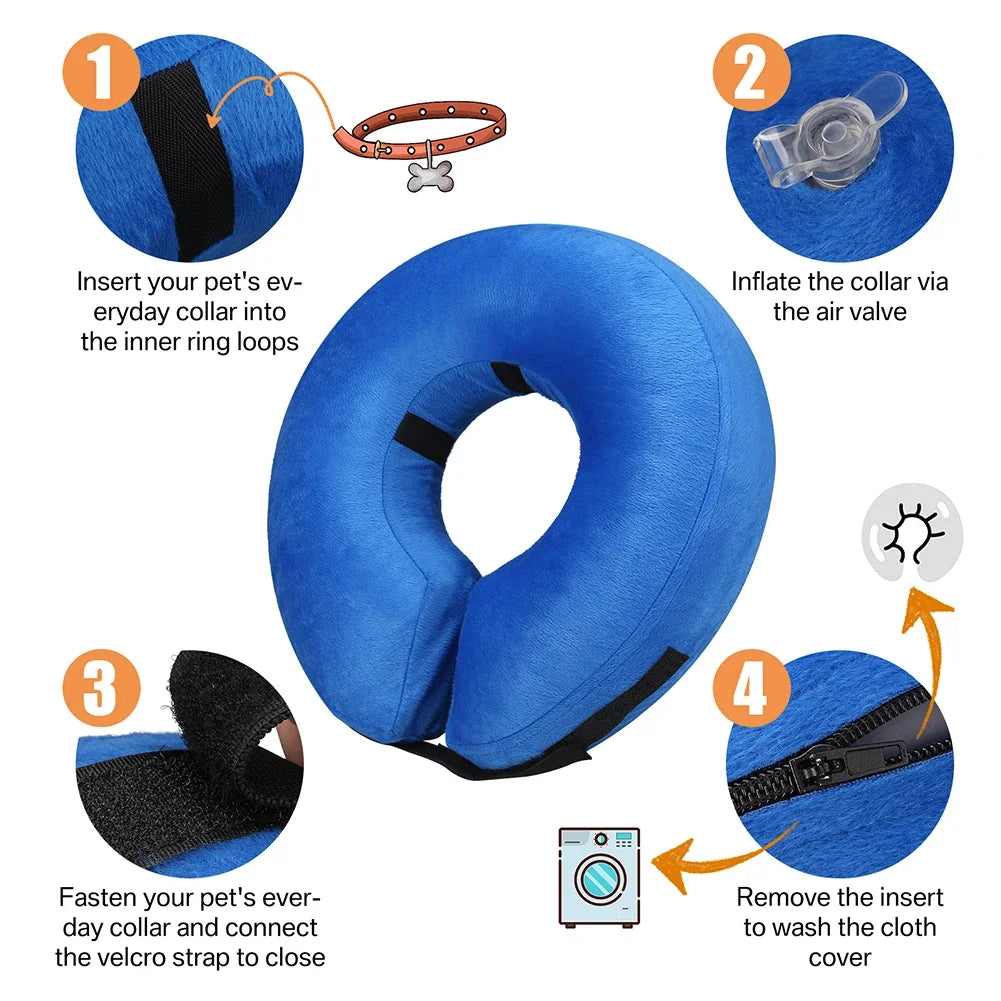 Dog Collar After Surgery