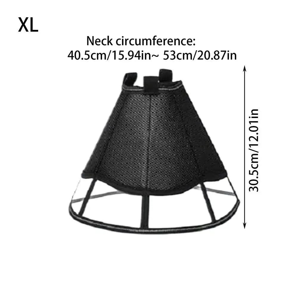Dog Recovery Cone