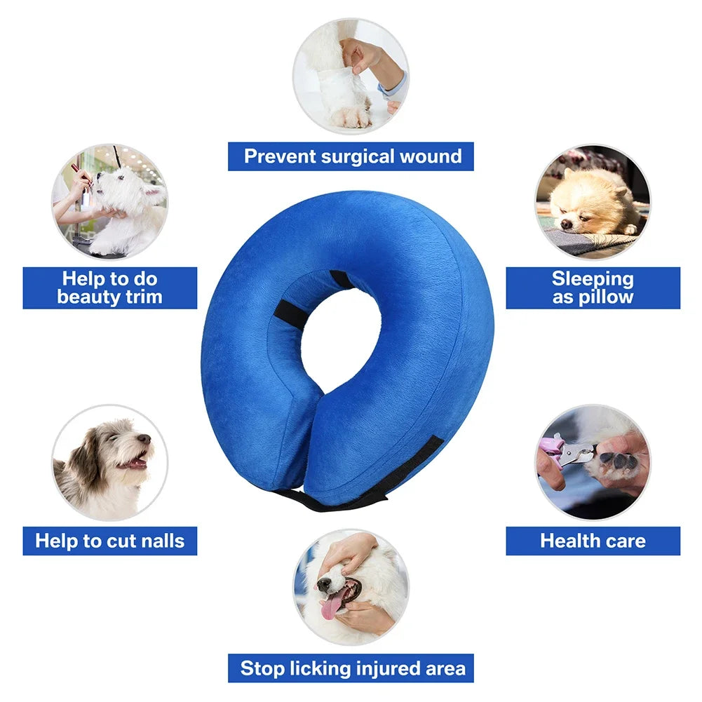 Dog Collar After Surgery