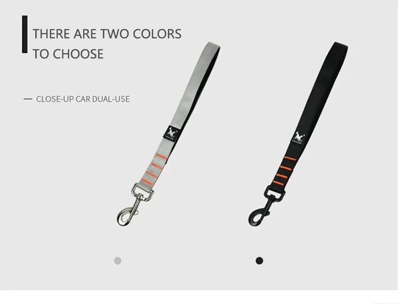 Short Dog Leash