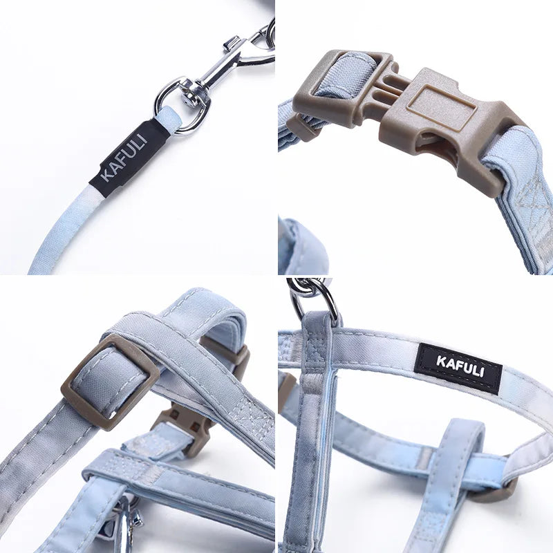 Gradient Cat & Small Dog Harness Set