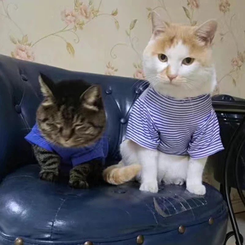 Cute Stripe Pet Cat Vest Shirt
