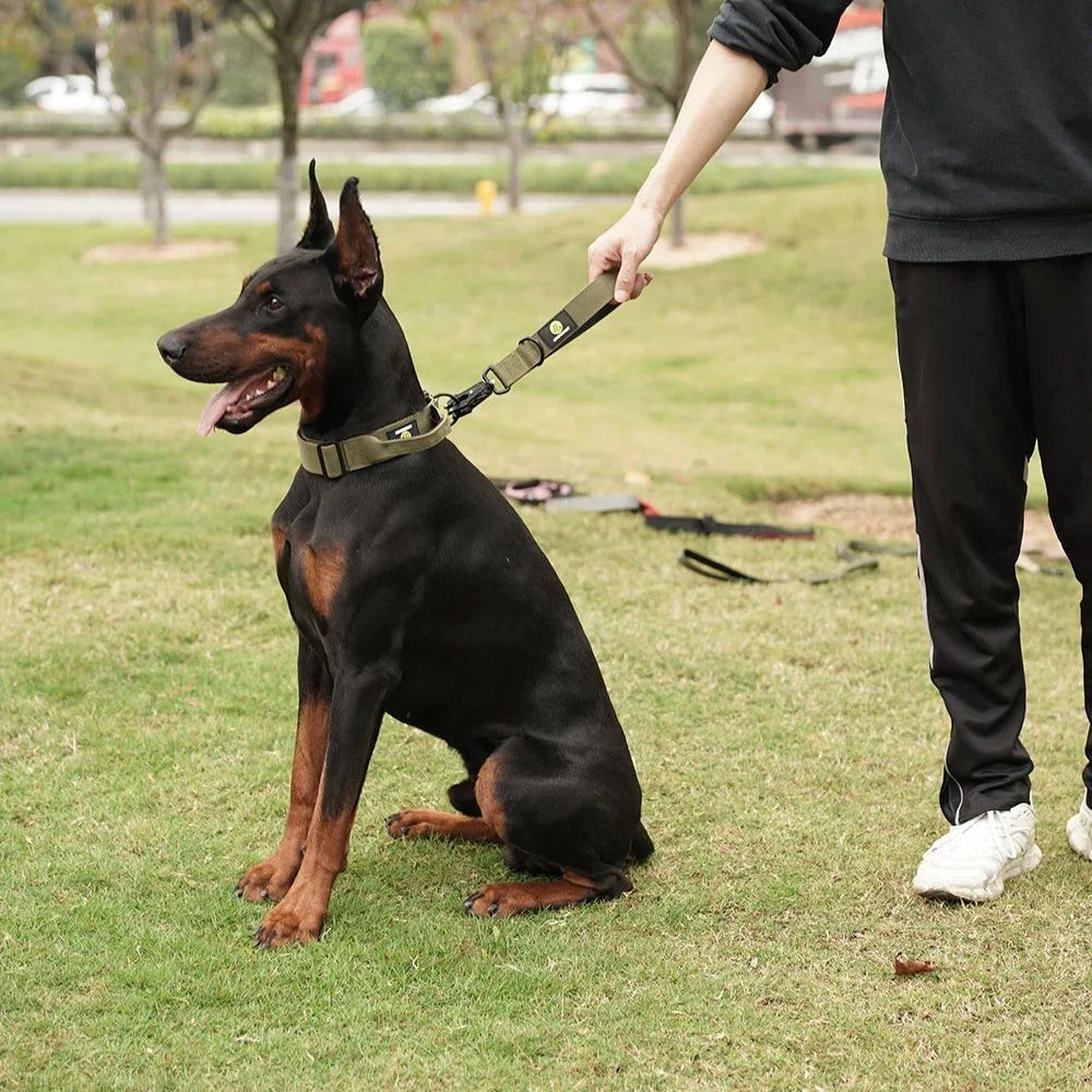 Short Dog Leash
