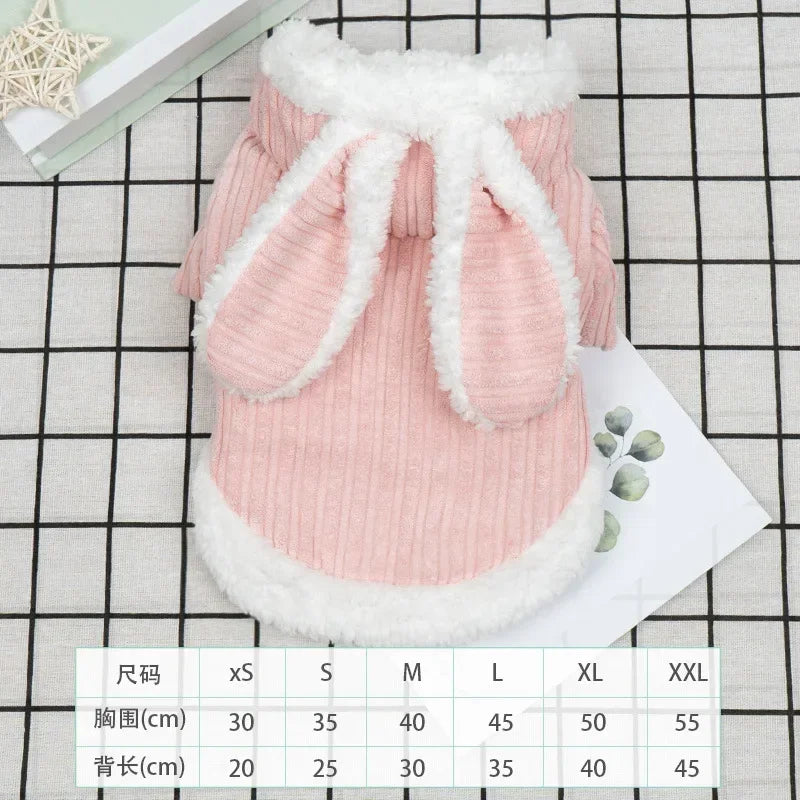 Warm Winter Clothes for Kittens