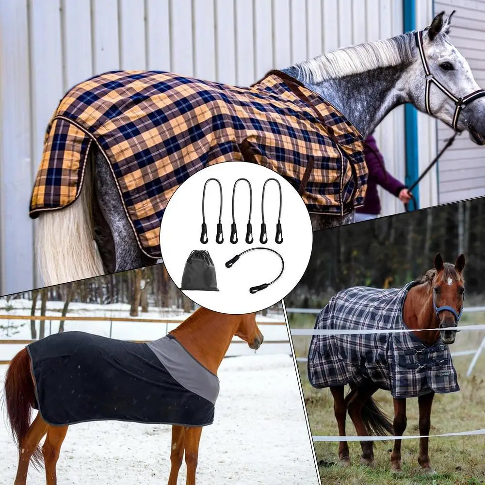 Horse Blanket Sheet