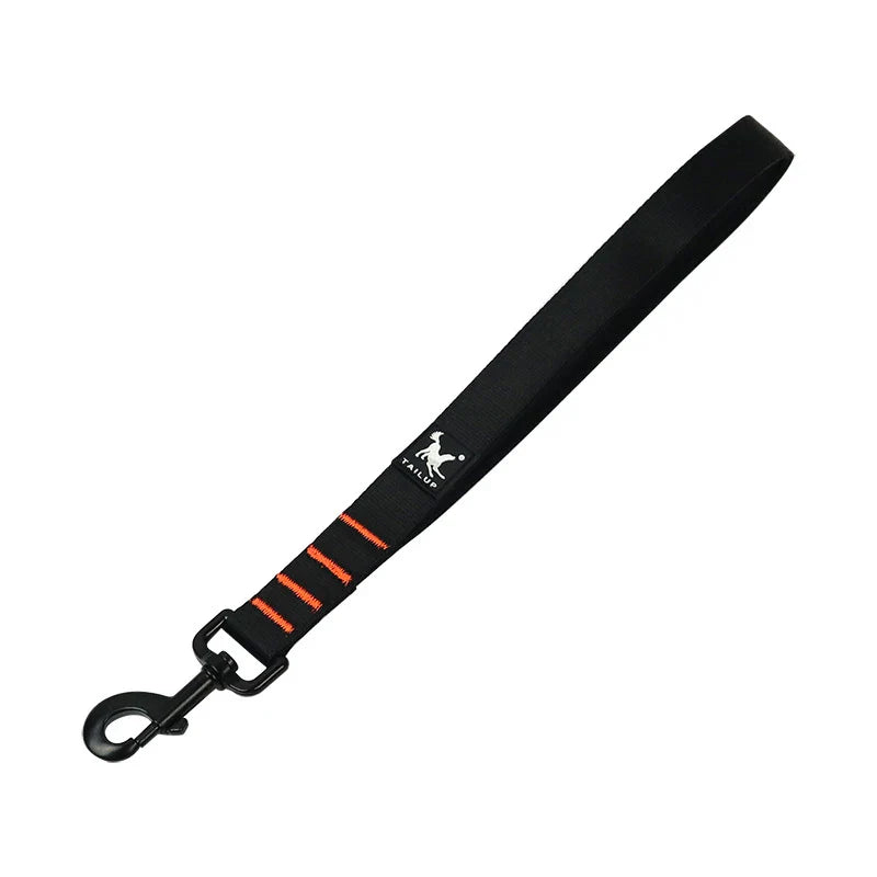 Short Dog Leash