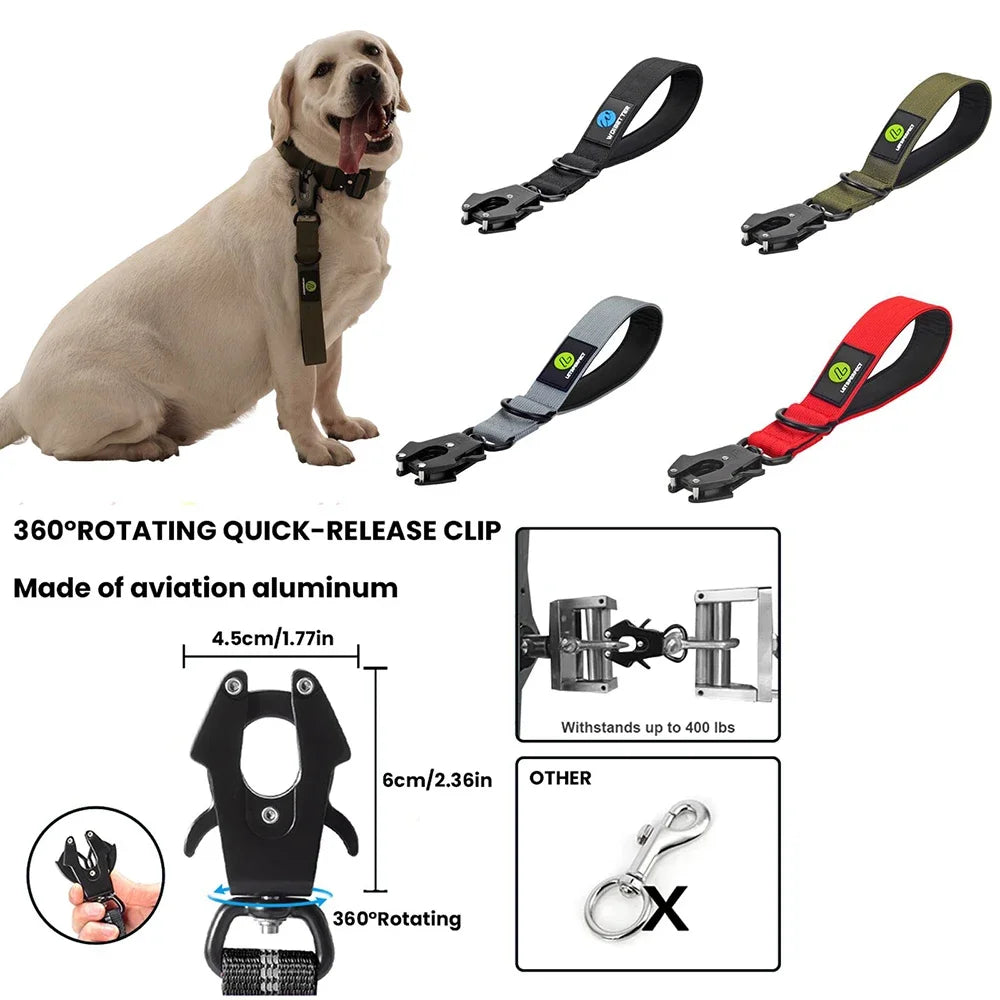 Short Dog Leash