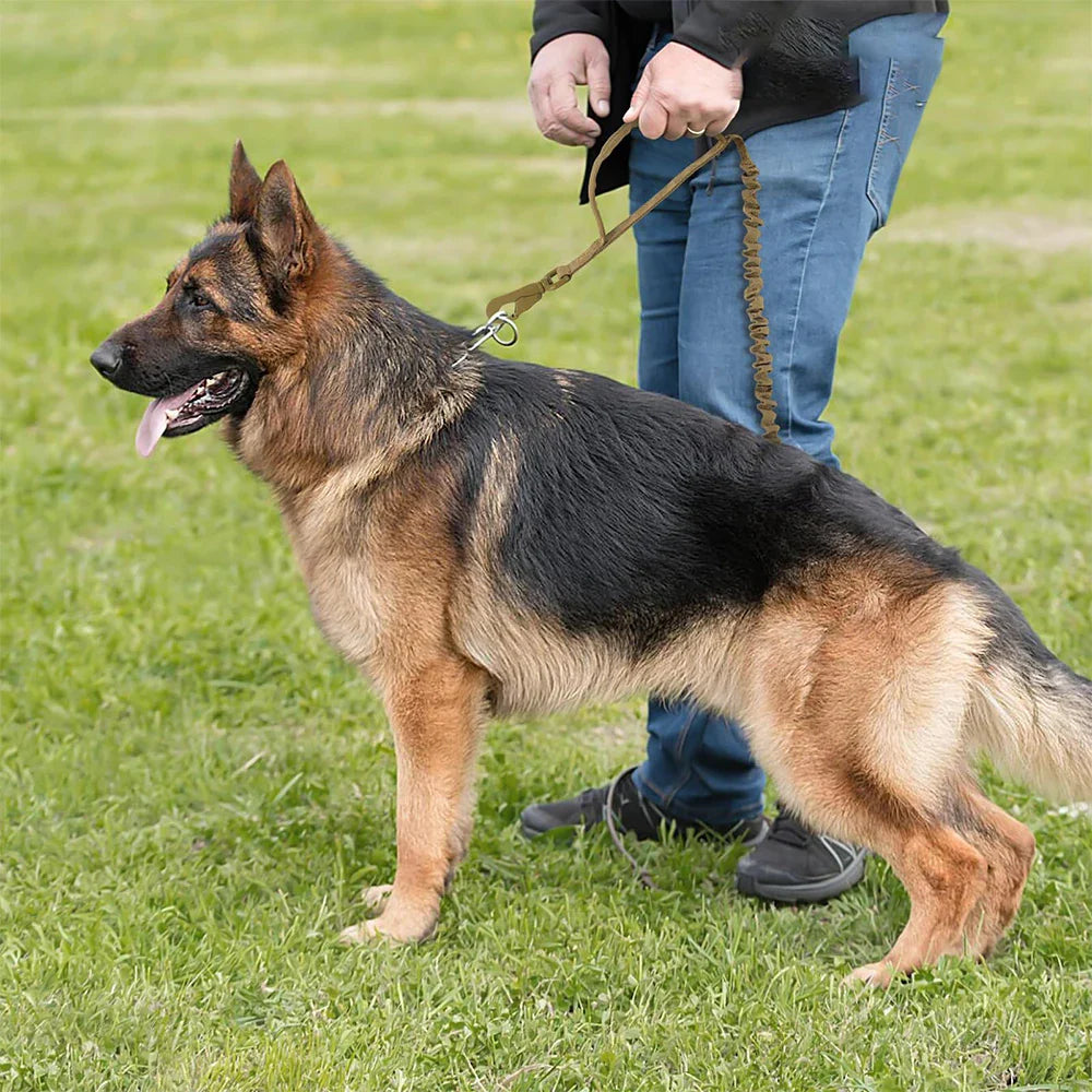 Military Dog Leashes
