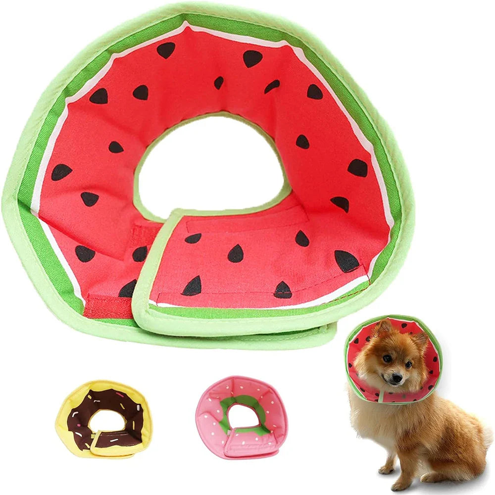 Lightweight Dog Elizabethan Collar
