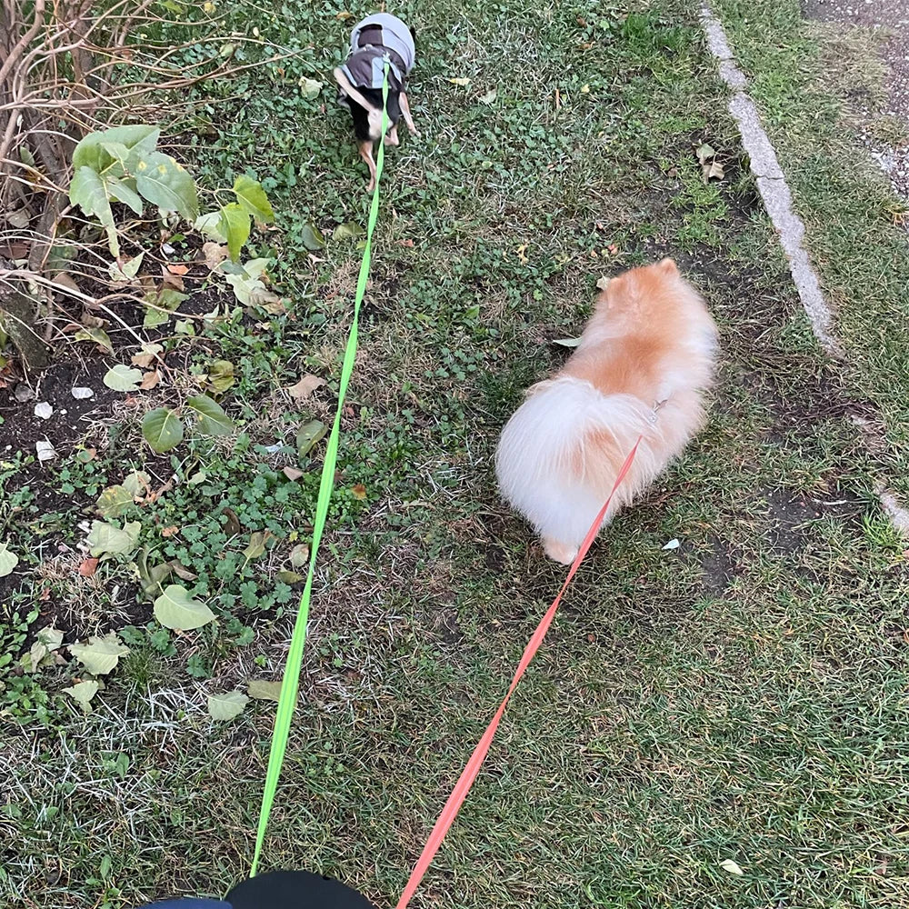Auto Retractable Double-Ended Dog Leash