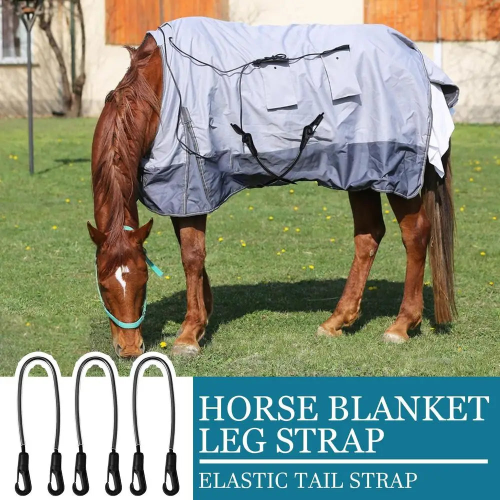 Horse Blanket Sheet