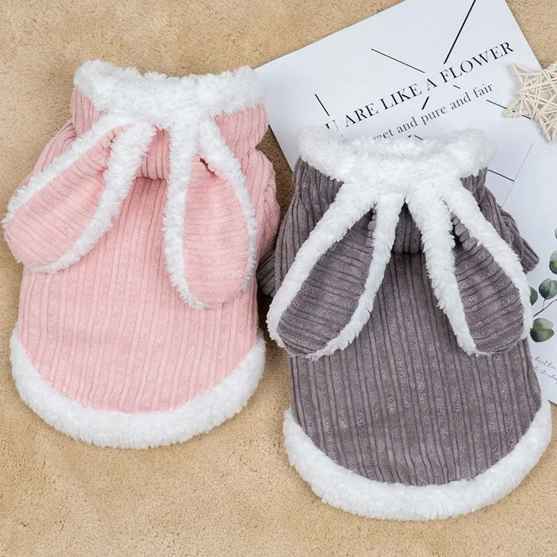 Warm Winter Clothes for Kittens