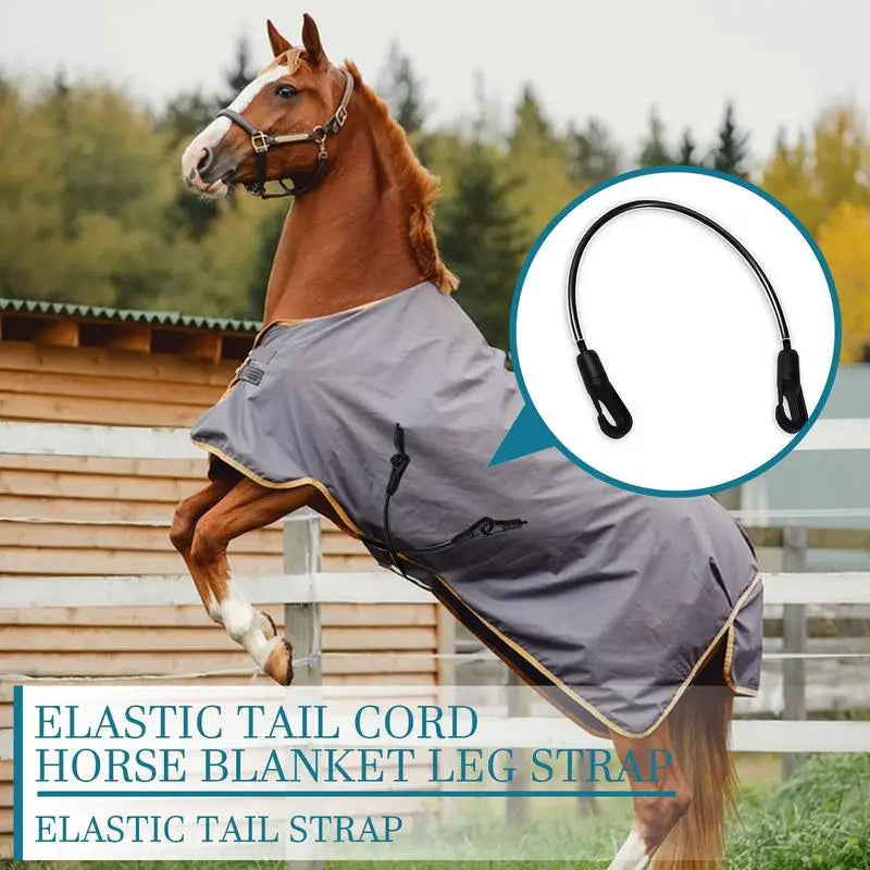Horse Blanket Sheet