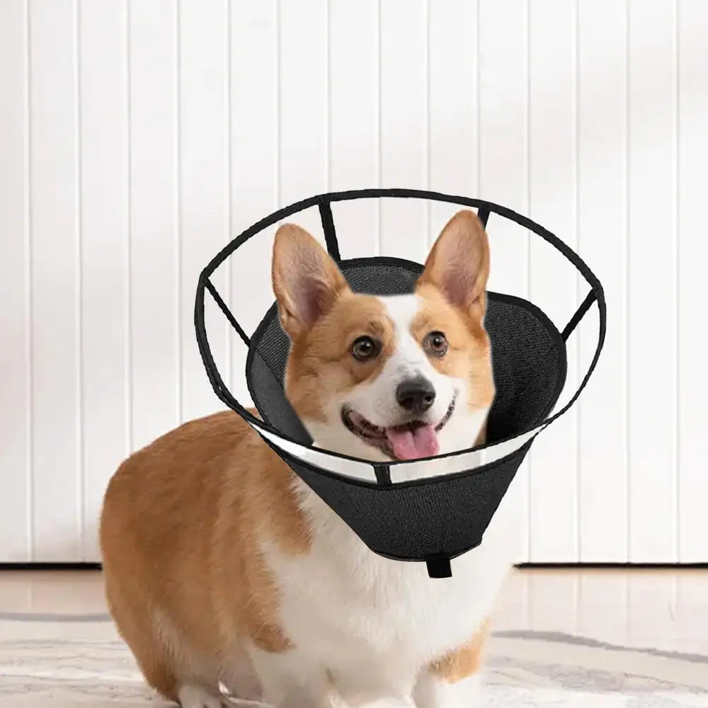 Dog Recovery Cone