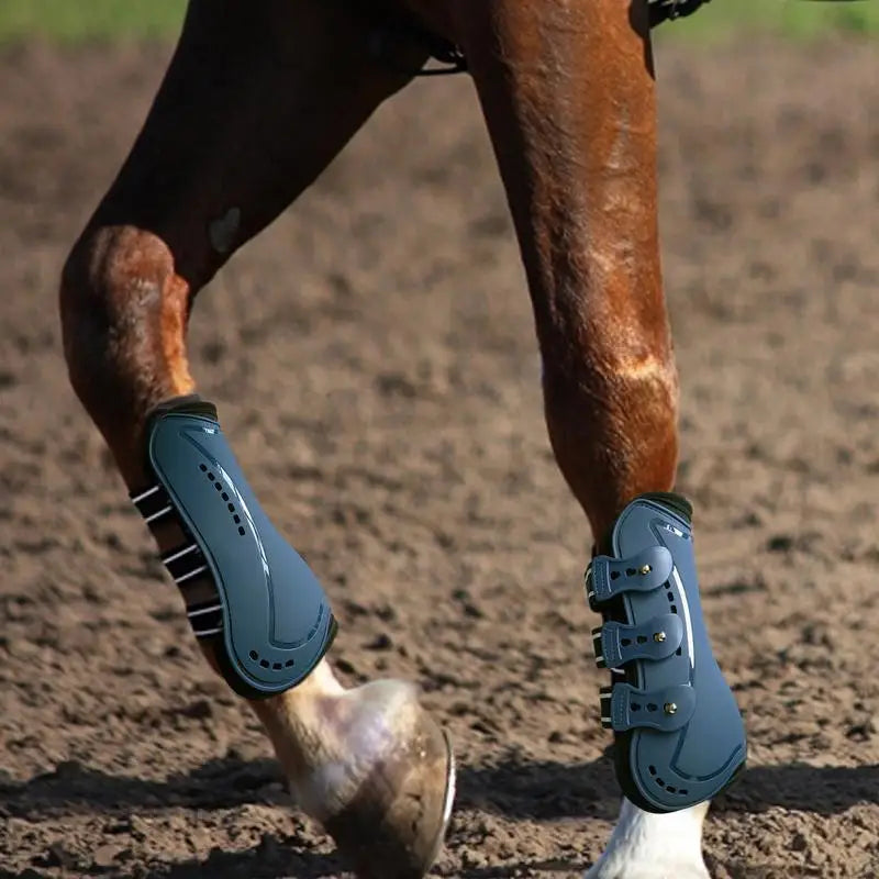 Sport Boots for Horses