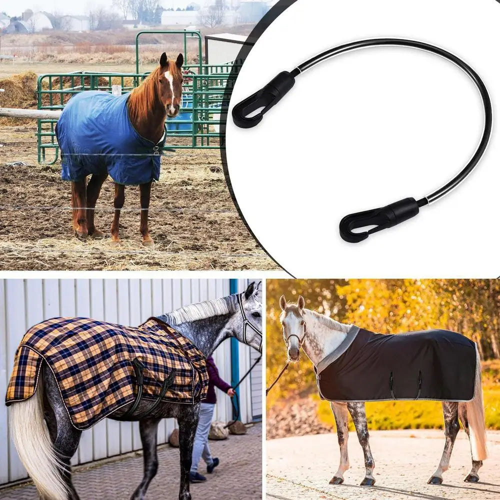 Horse Blanket Sheet