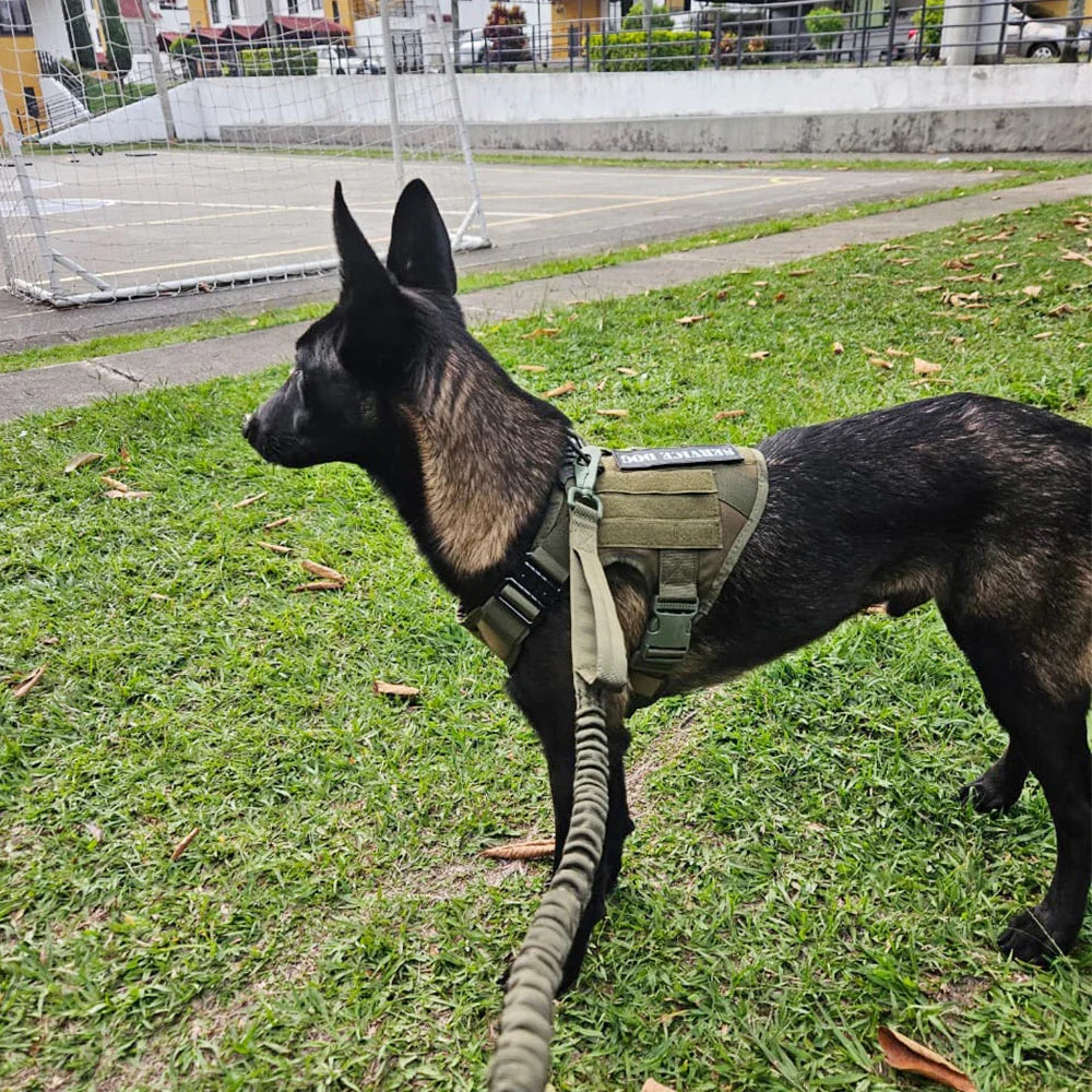 Tactical Dog Harness Leash Set